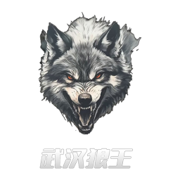 武汉斑马